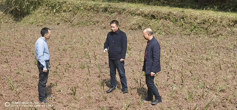 4717x5-3复平镇.jpg